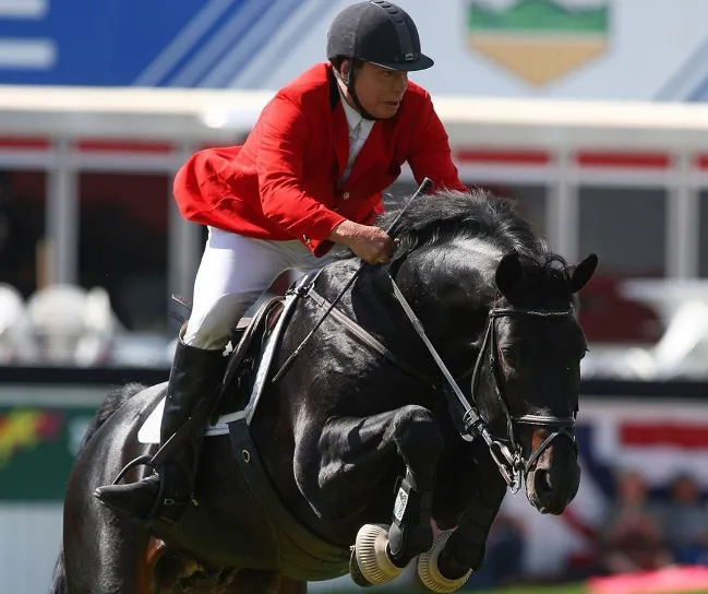 equitacion