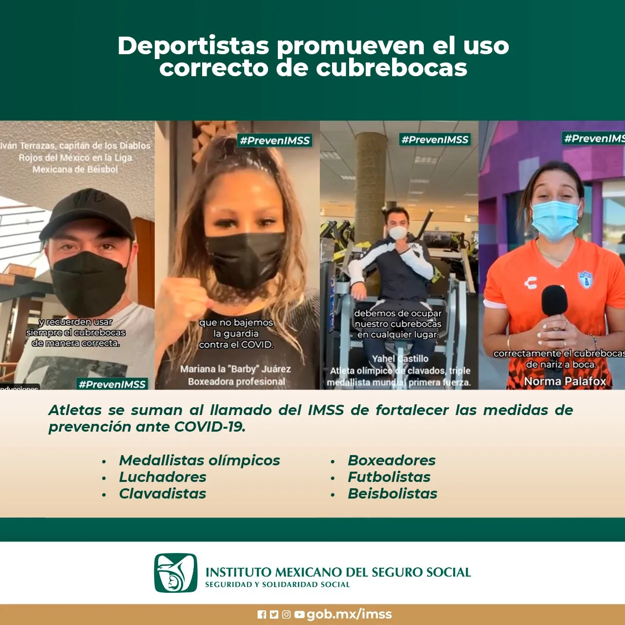 estrellas imss