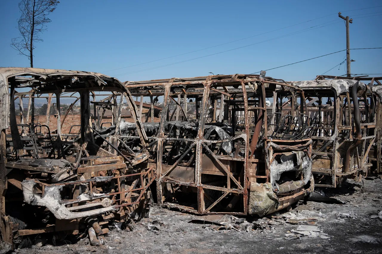 Gobierno chileno restaurará con 500.000 dólares Jardín Botánico calcinado por incendios