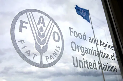 fao
