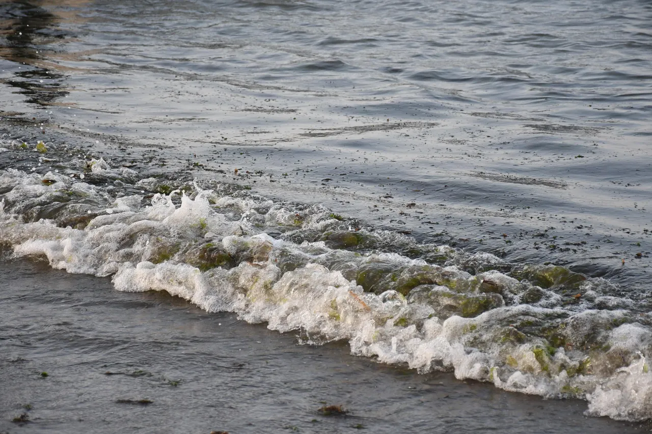Veracruz inicia entrega de apoyos a pescadores afectados por derrame de hidrocarburo