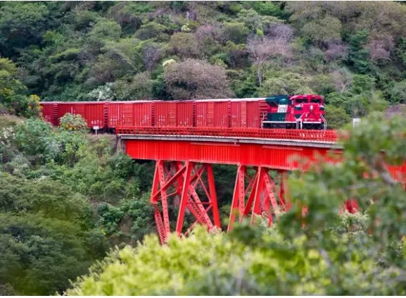 ferrosur2