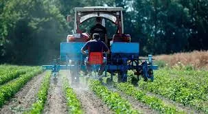 fertilizantes