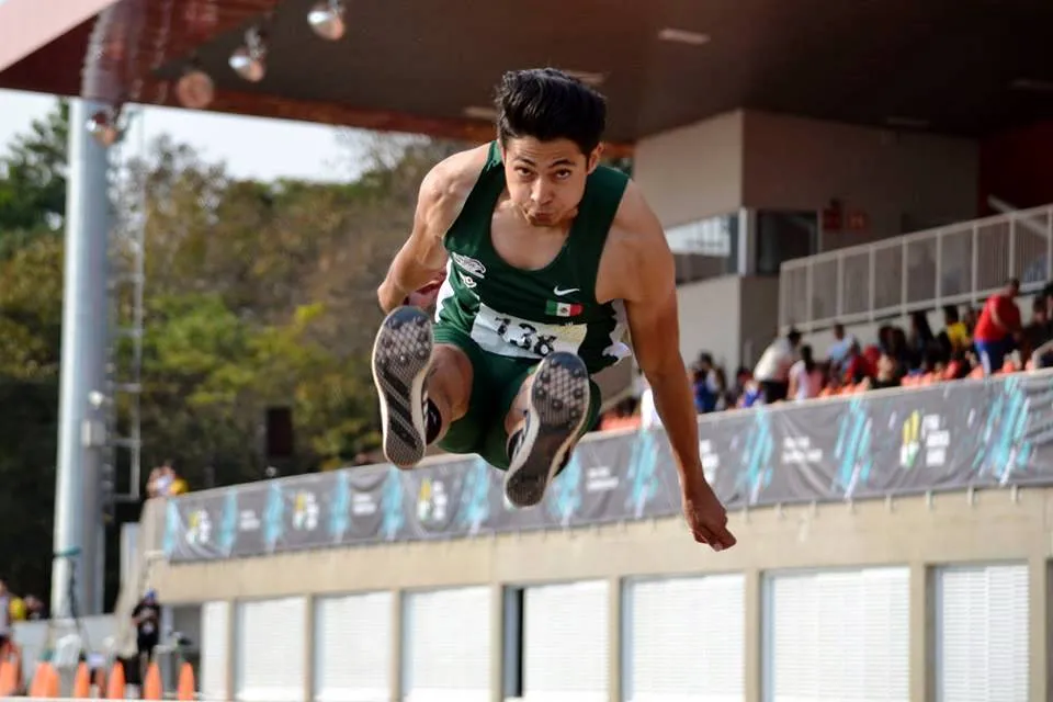 fisu