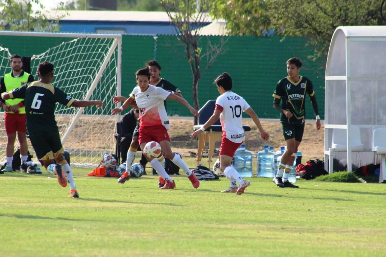 futbol