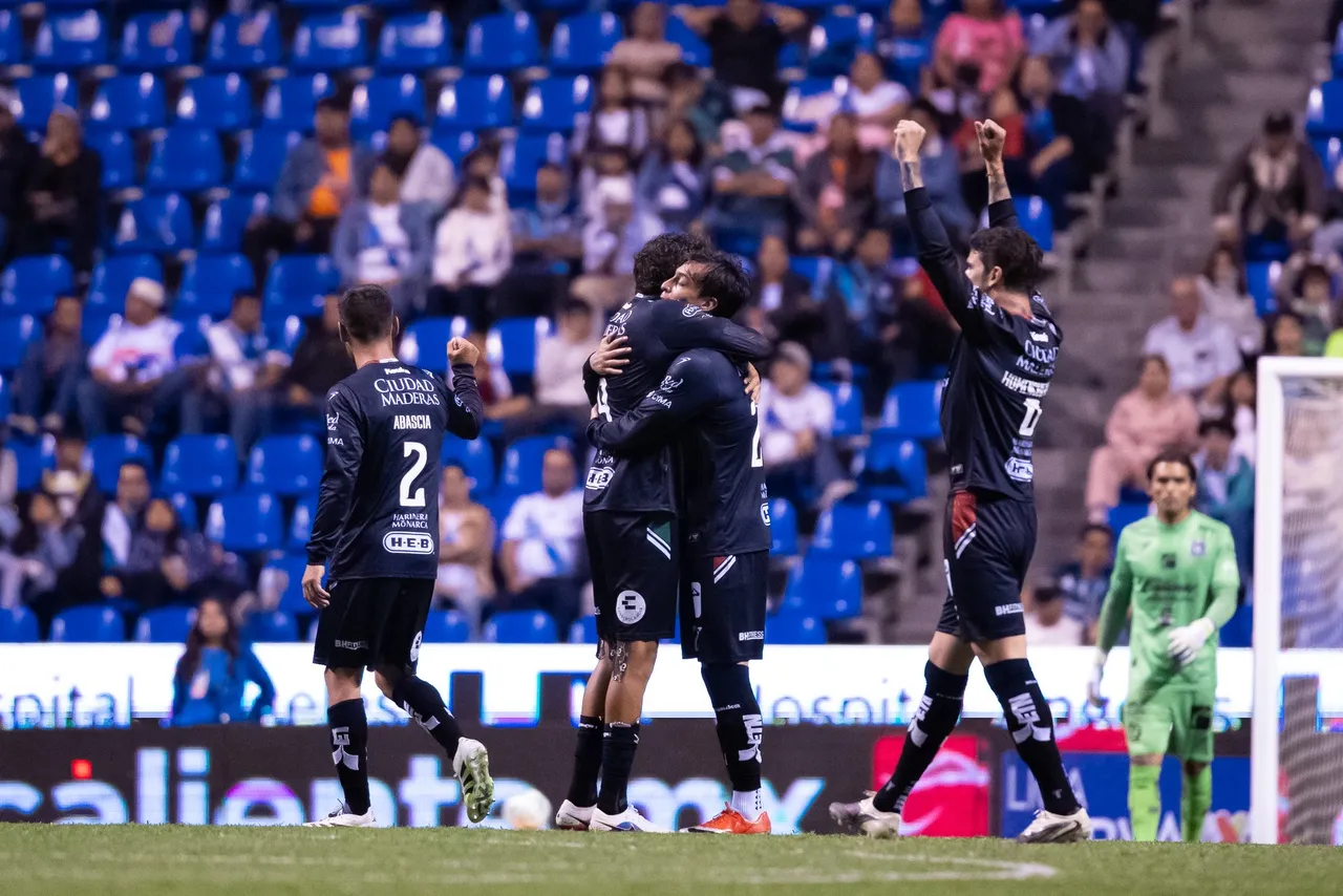 gallos