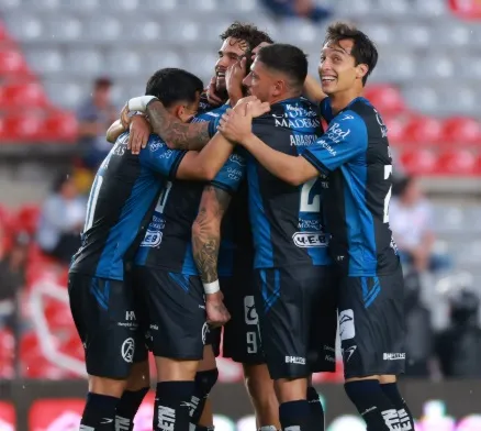 gallos