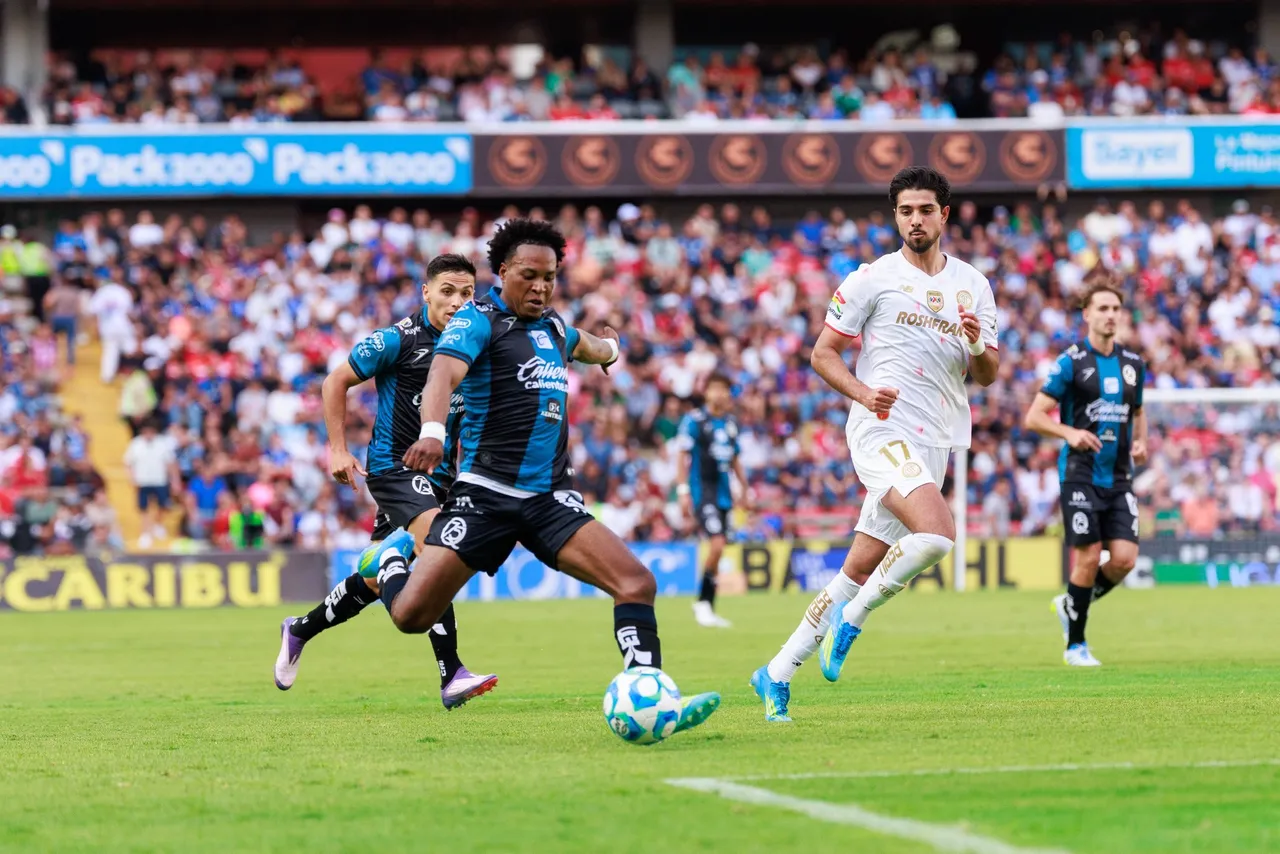 gallos