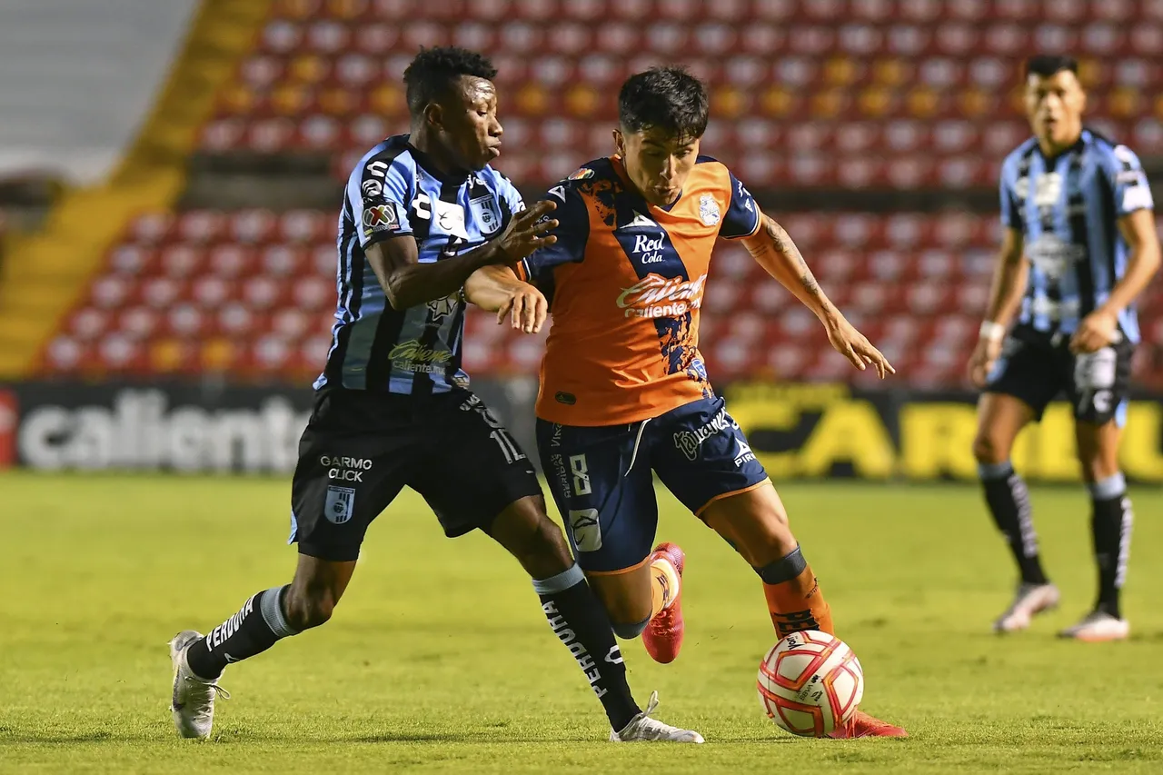 gallos