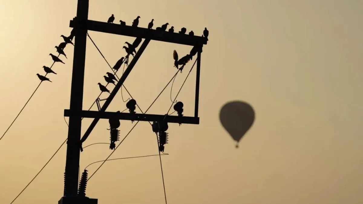 globo