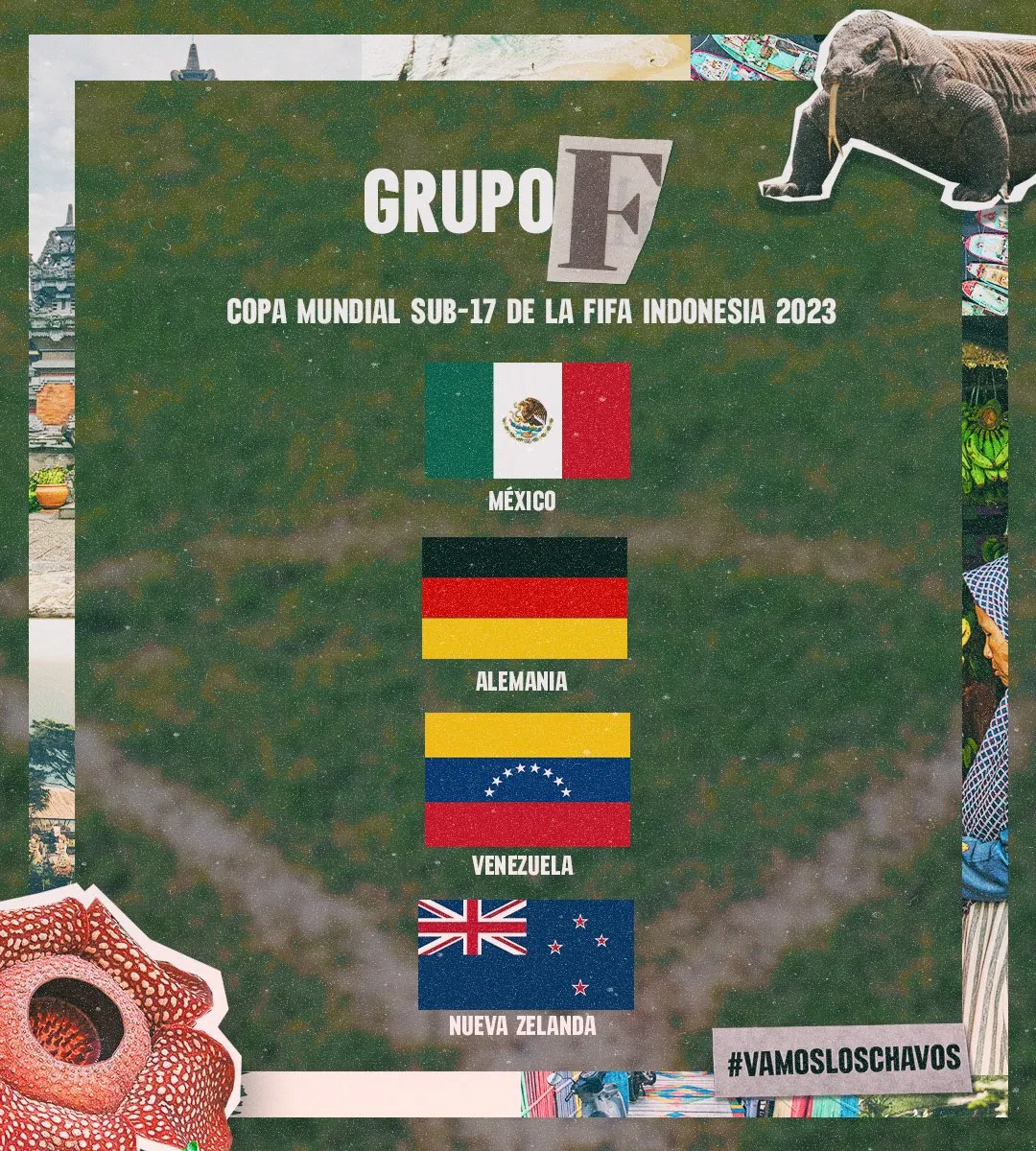 grupo f