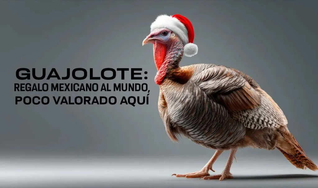 guajolote
