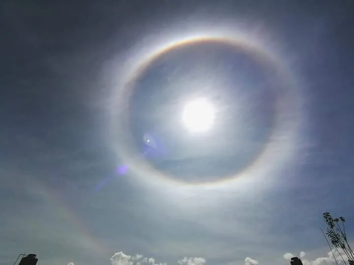 halo