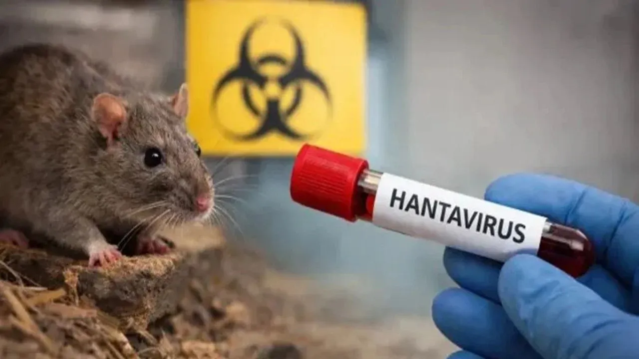 hantavirus