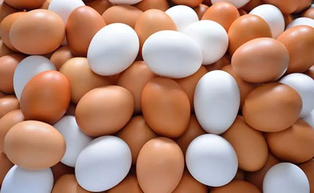 huevos