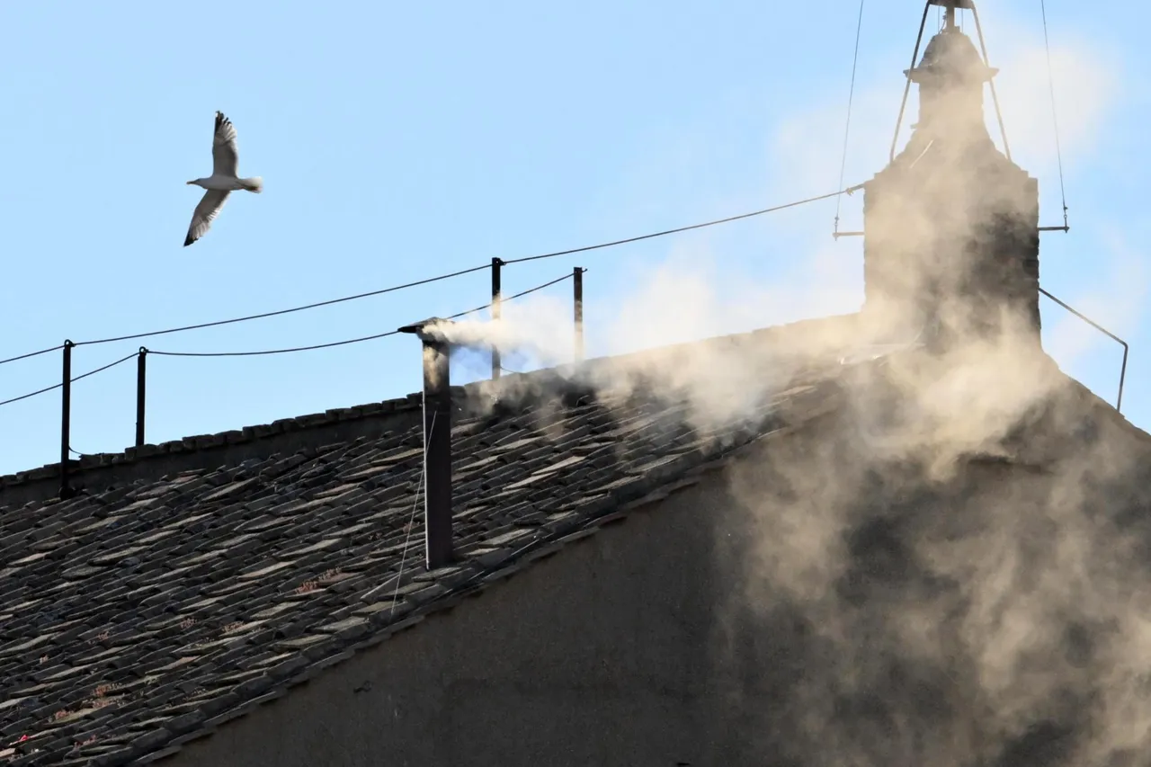 humo