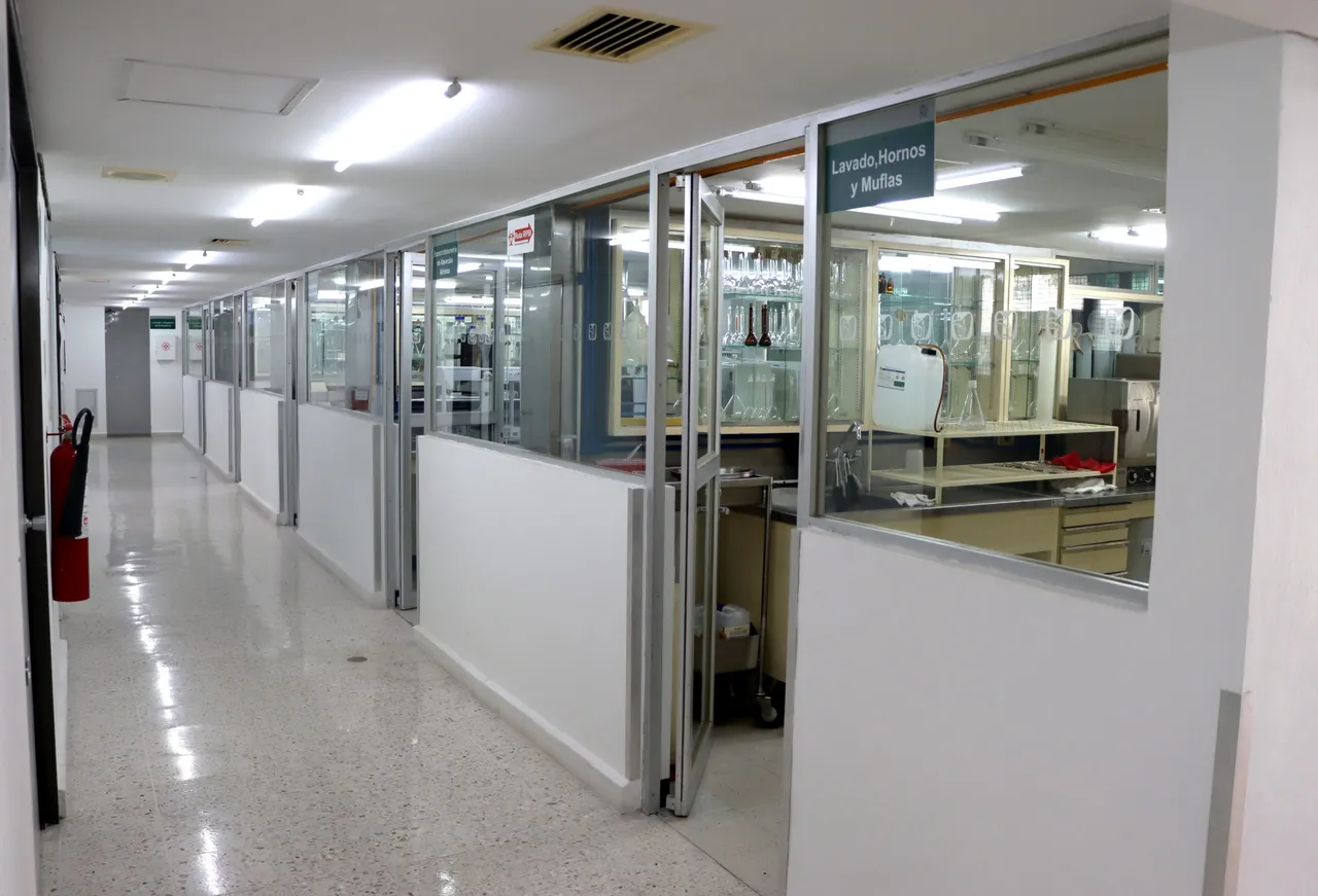 imss