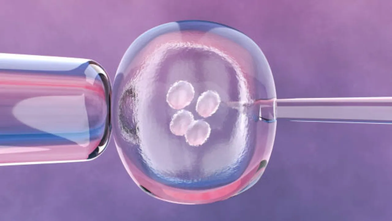 Microscopic View of Embryonic Cell and Needl