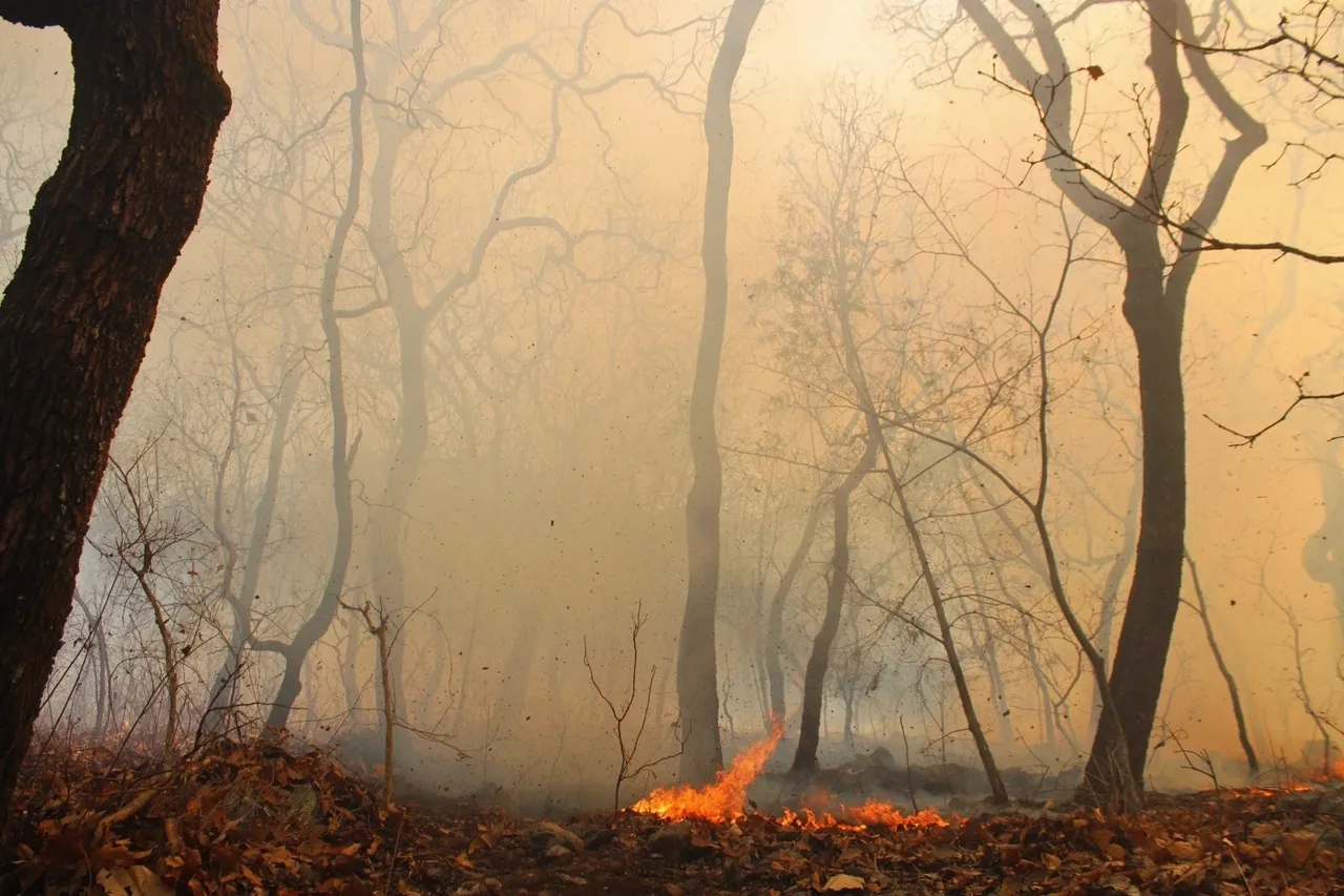 incendio de Tilzapotla