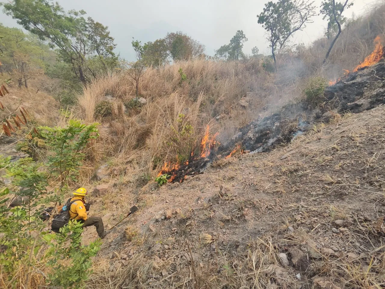 incendios