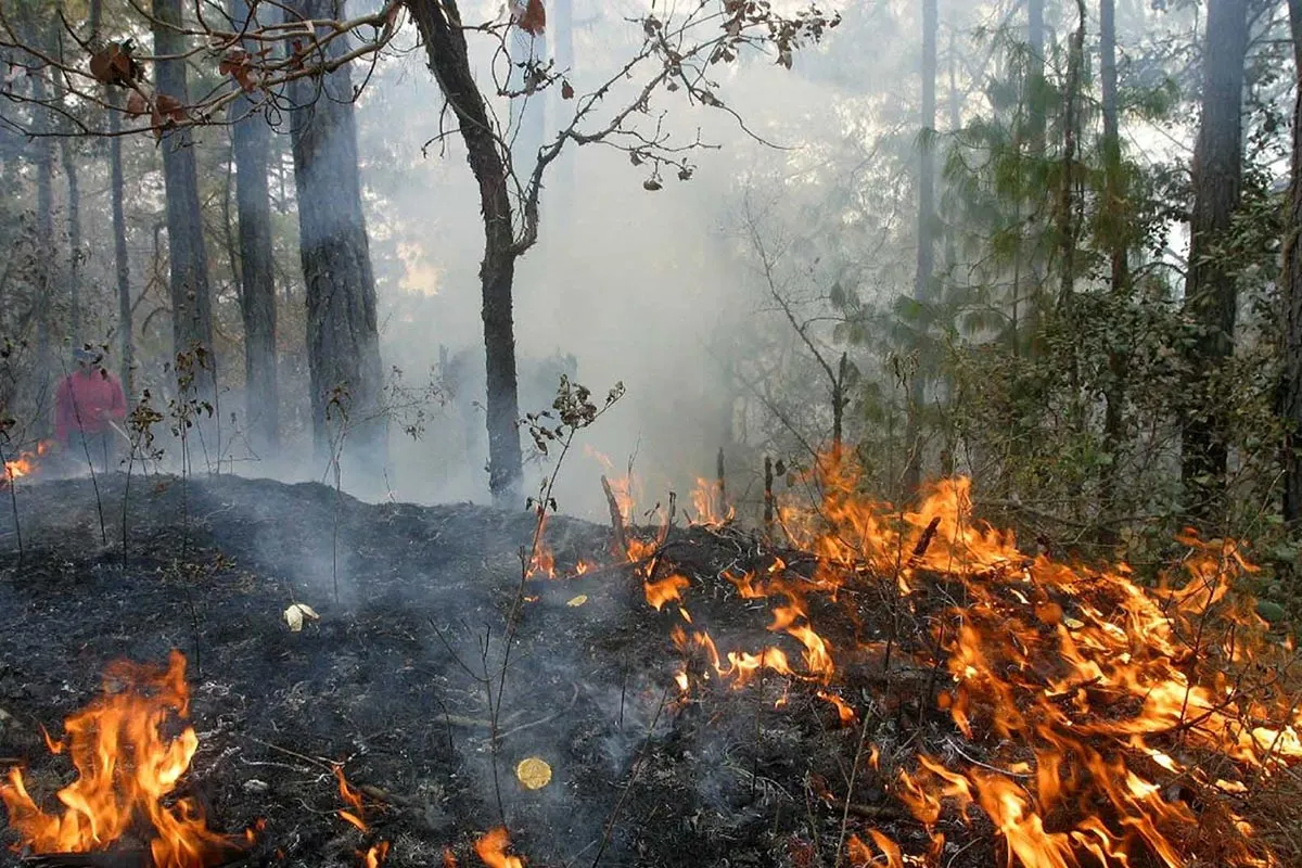 incendios