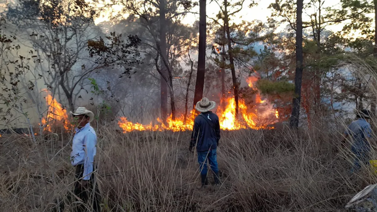 incendios