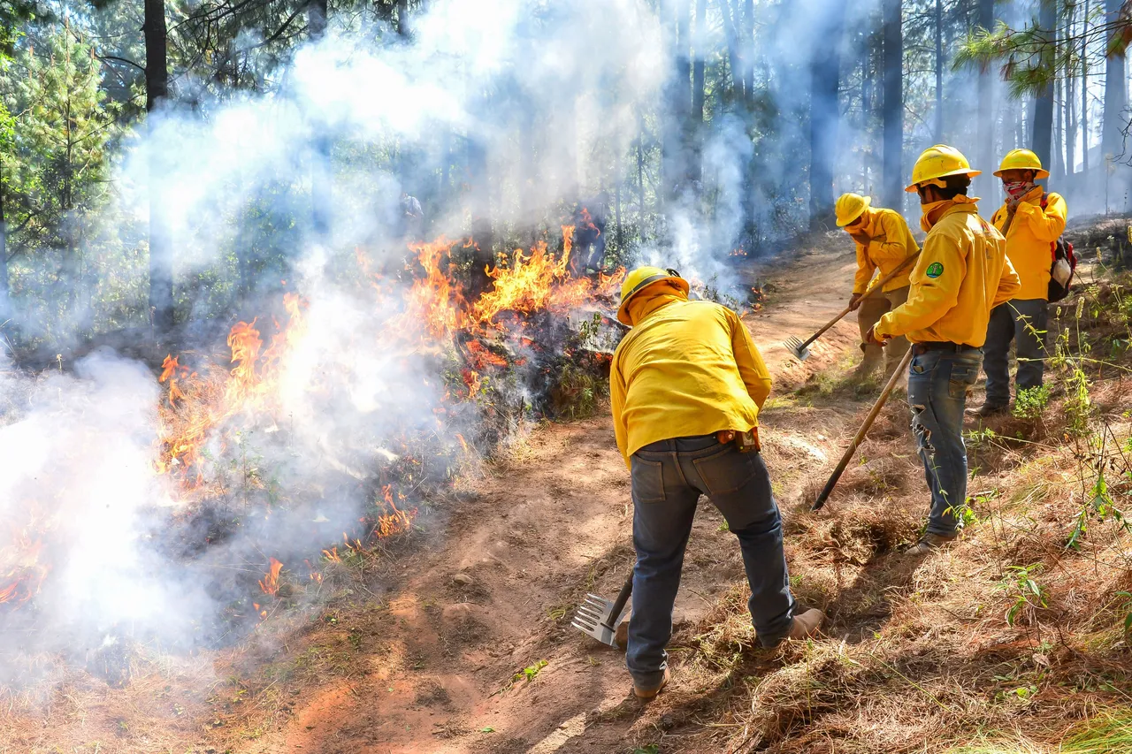incendios