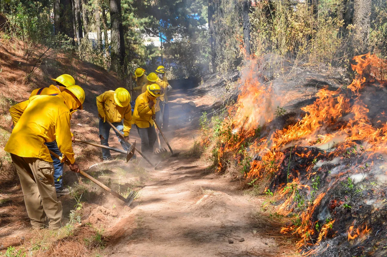 incendios