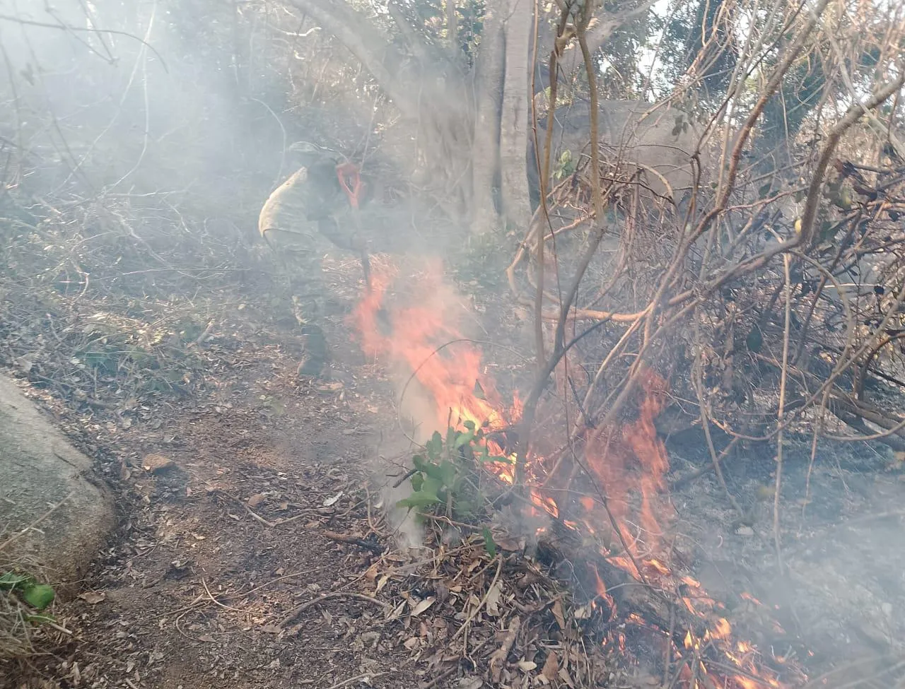 incendios2