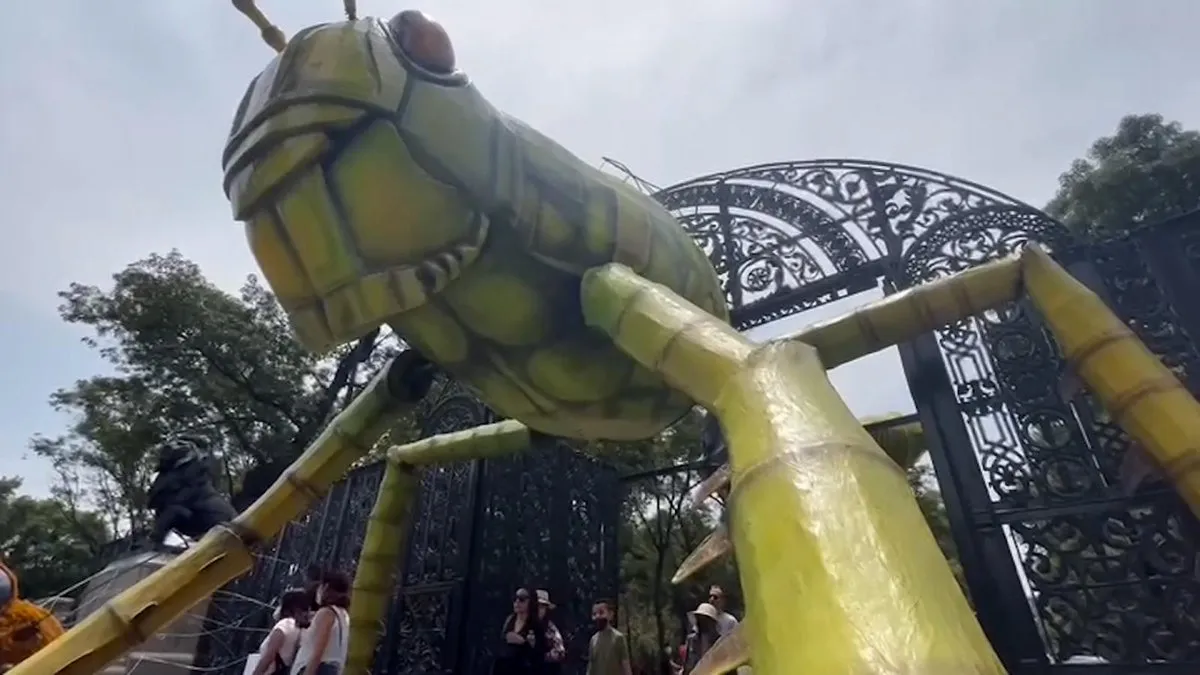 insectosmonumentales