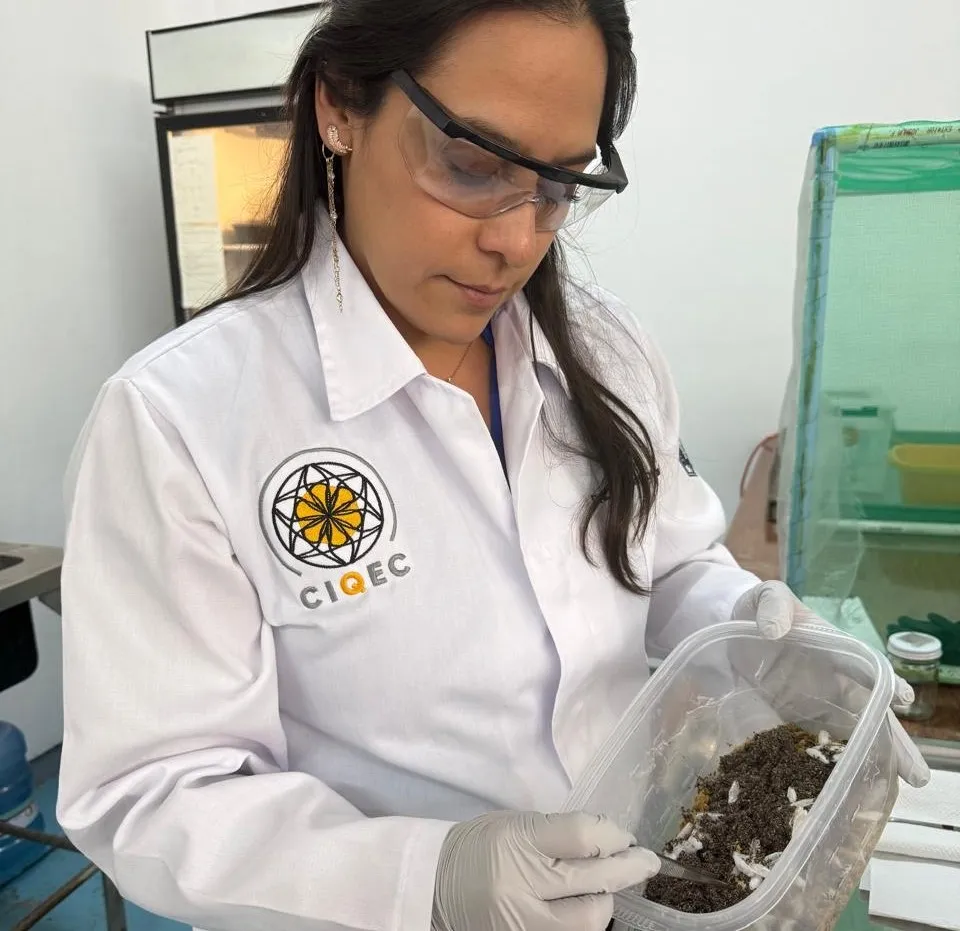 investigadora
