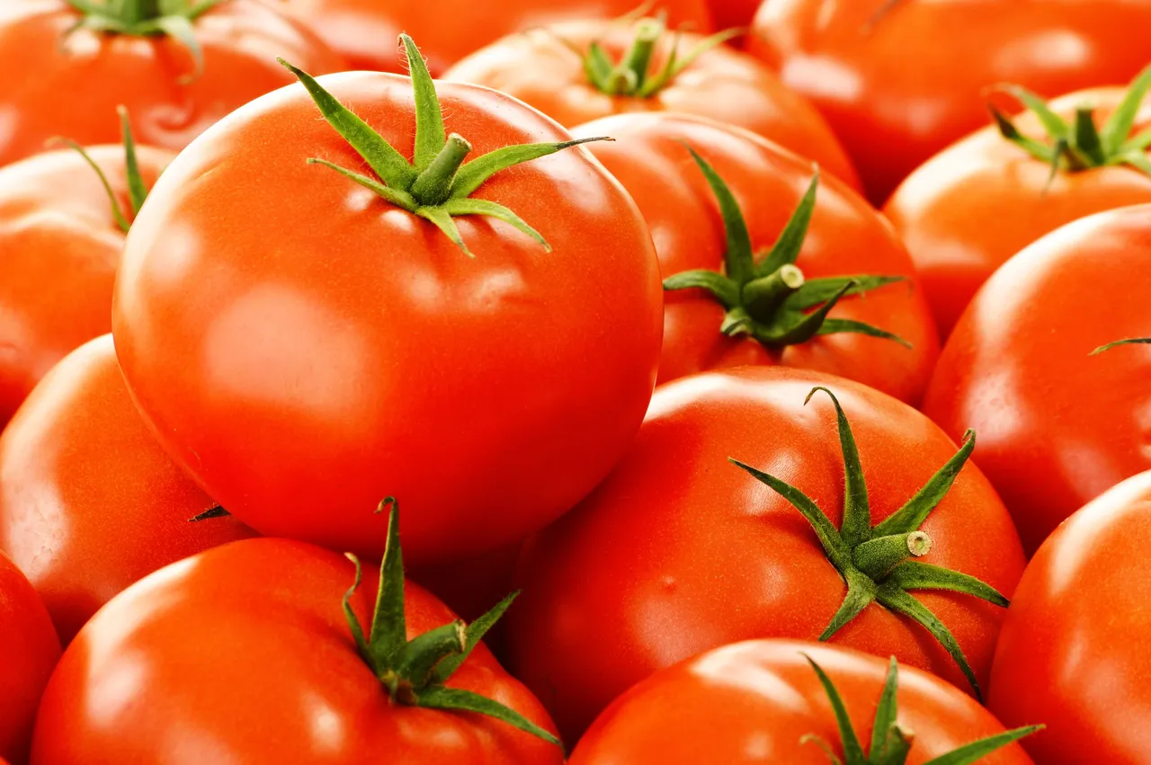 Fresh organic tomatoes on street stall