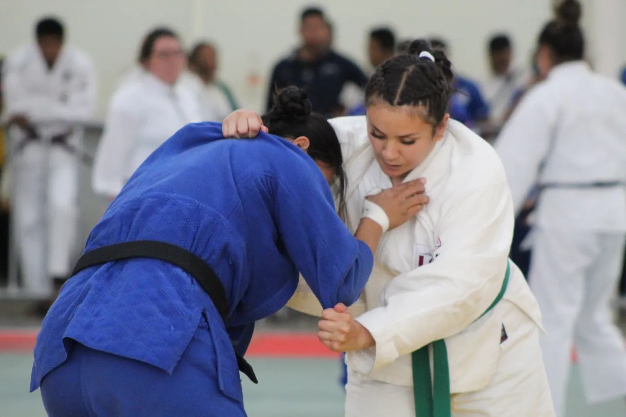 judo