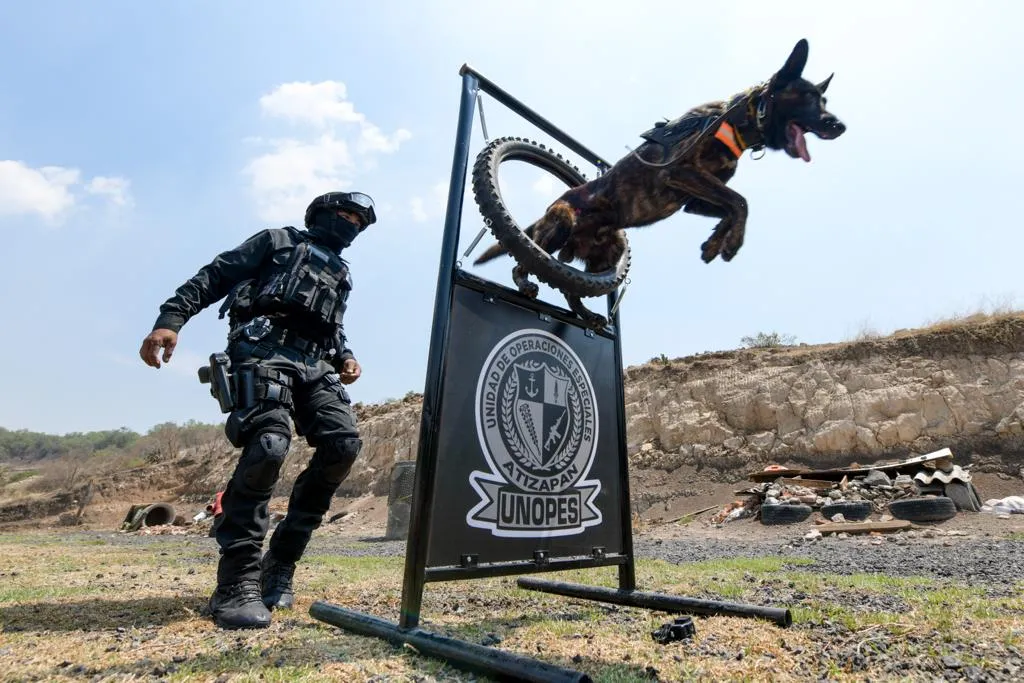k9