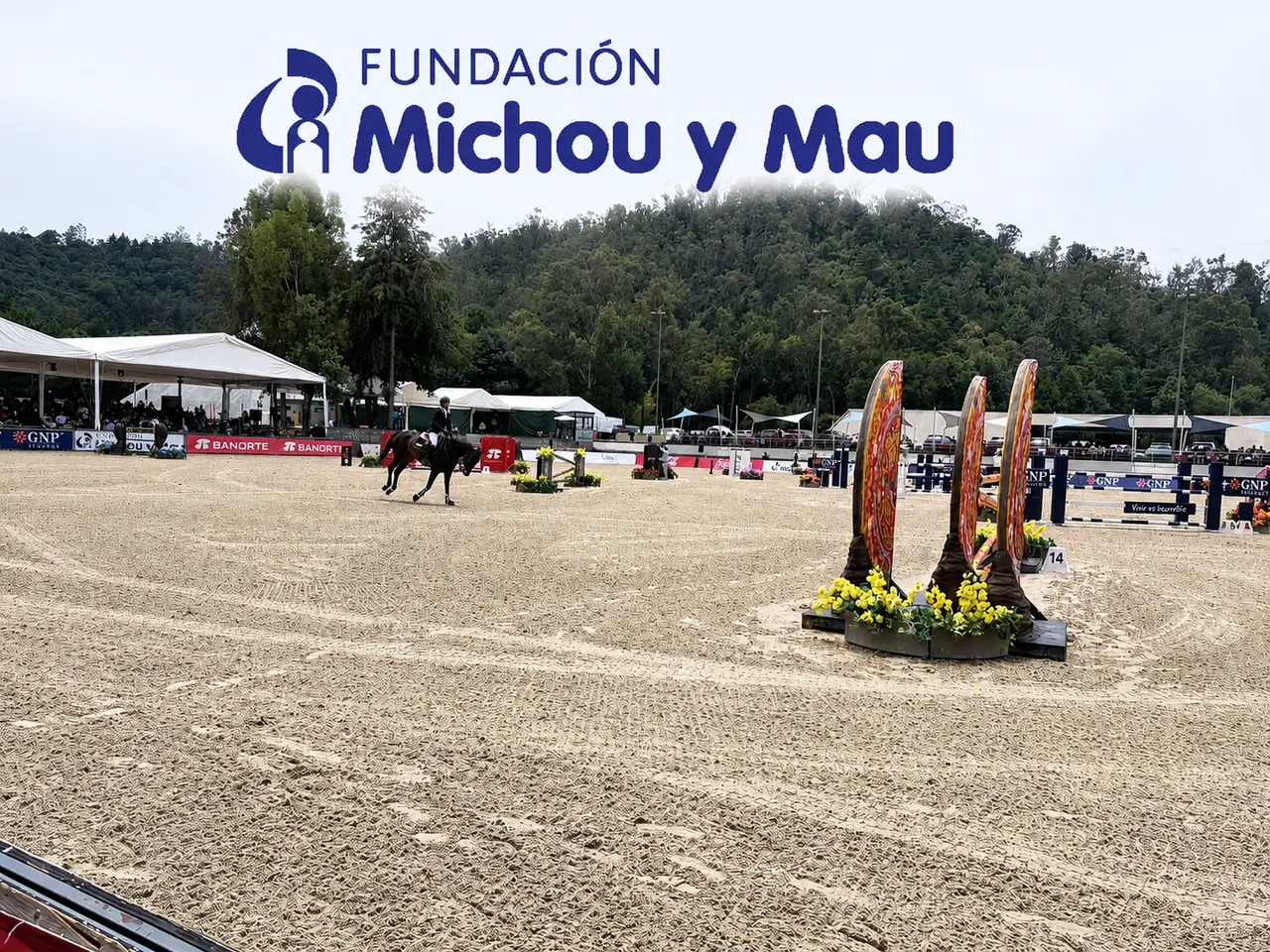 La octava edición de la Copa Michou y Mau volvió a demostrar que el deporte puede convertirse en una poderosa herramienta de solidaridad.