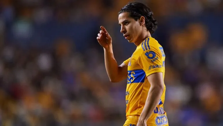 lainez tigres