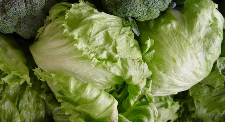 EU investiga brote de diarrea relacionado con lechuga
