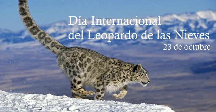 leopardo