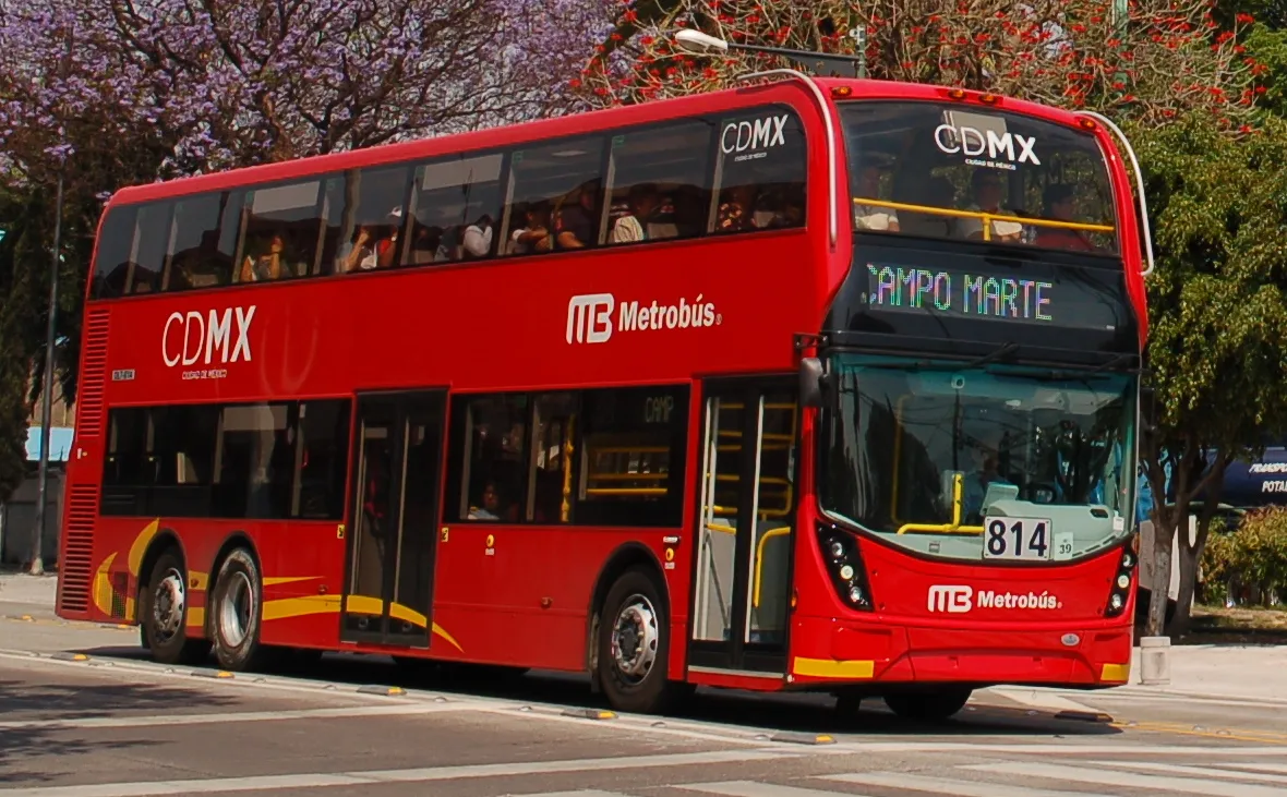 linea 7