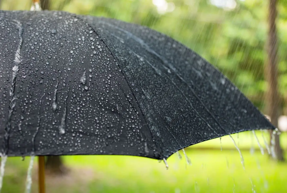 Lluvias y condiciones meteorológicas adversas por el monzón mexicano en distintos estados del país