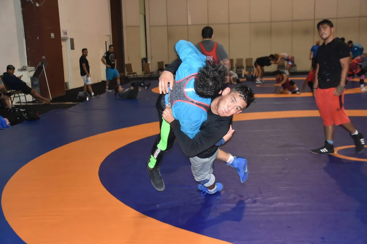 luchas