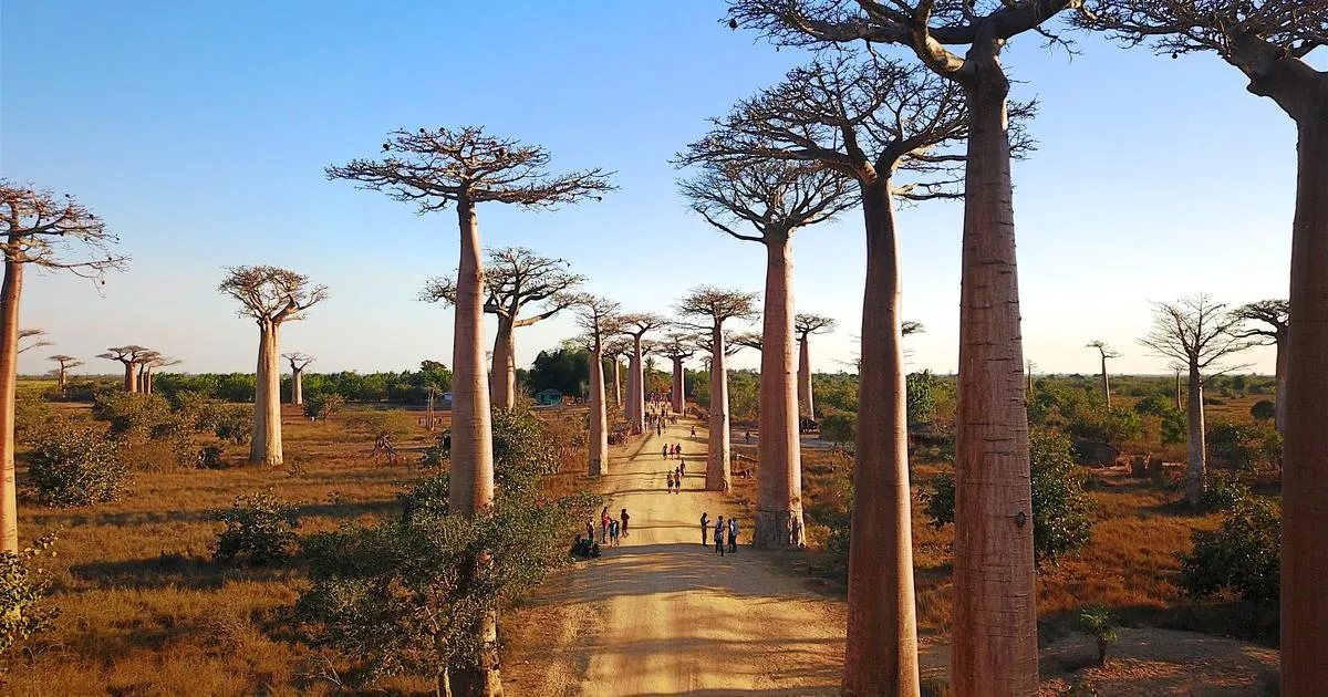 madagascar