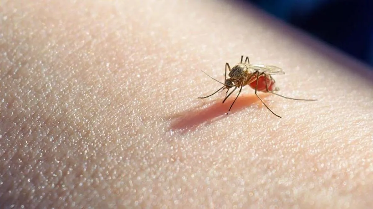 malaria