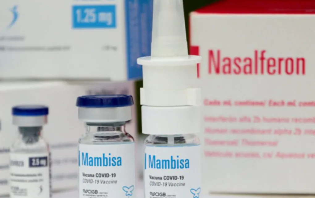 mambisa