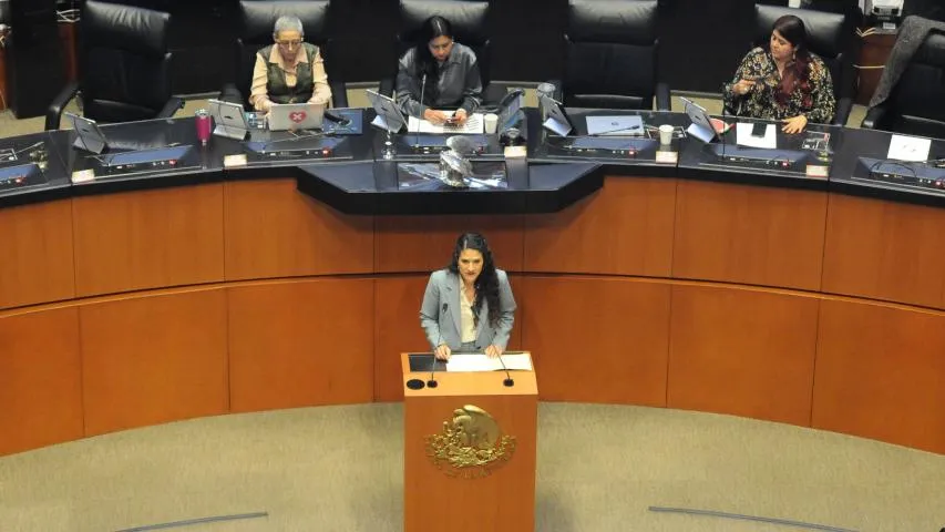 María del Rocío García Pérez, directora general del Sistema Nacional para el Desarrollo integral de la Familia (SNDIF), durante la conferencia matutina en Palacio Nacional