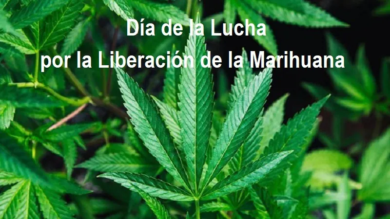 marihuana