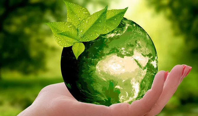medio ambiente