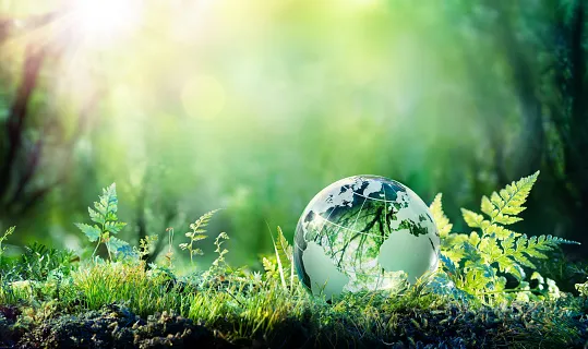 medioambiente