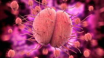 meningitis