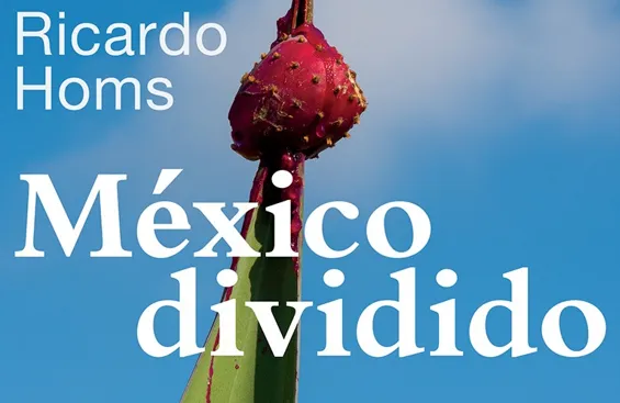 mexx